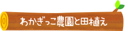 わかぎっこ農園と田植え